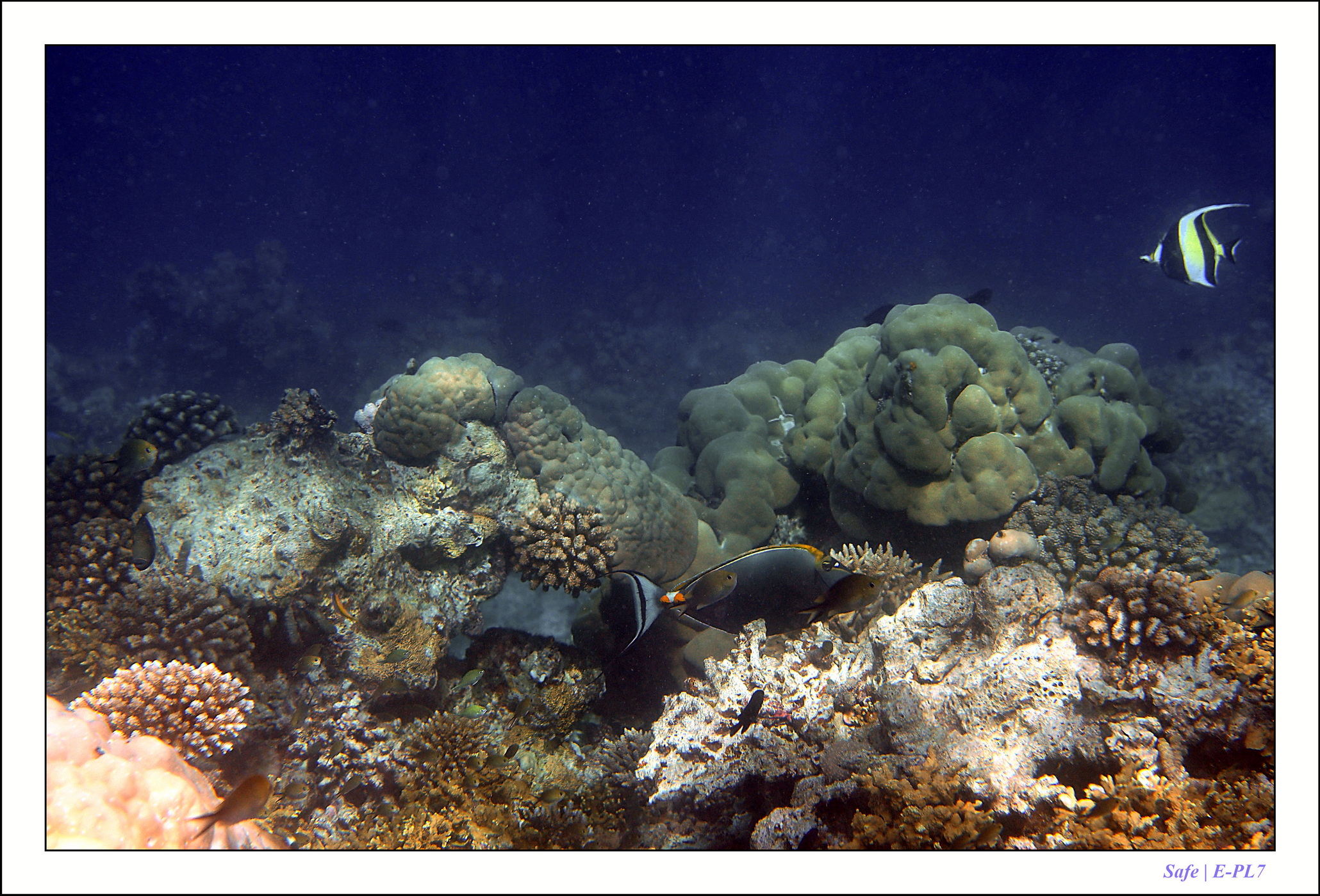 2022 - 07 - snorkeling Maldives - 033